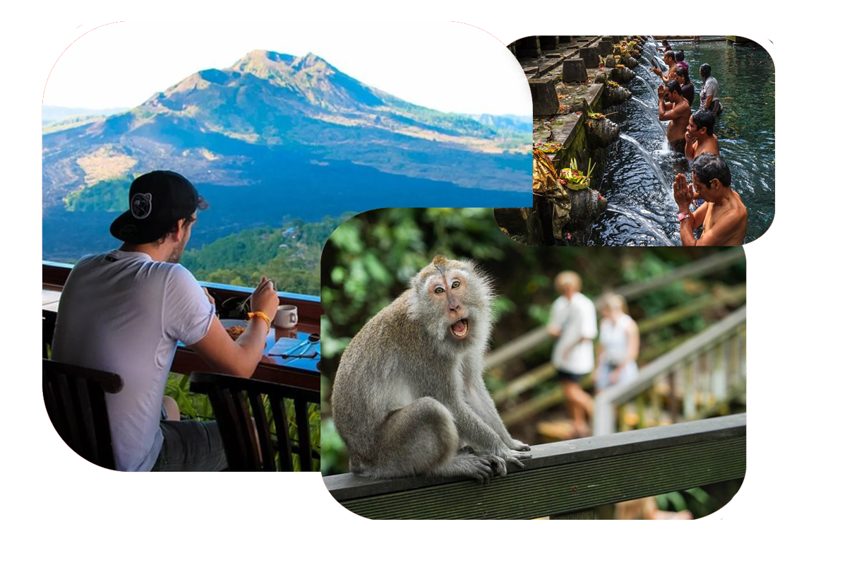 Ubud Monkey Forest and Kintamani Highland